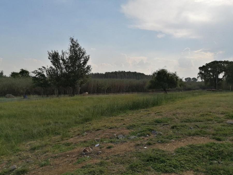 4 Bedroom Property for Sale in Uitvlught Free State